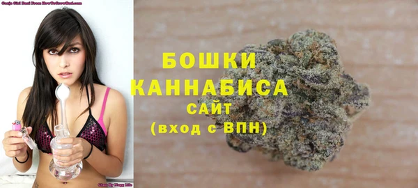 PSILOCYBIN Баксан