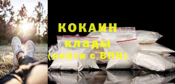 PSILOCYBIN Баксан