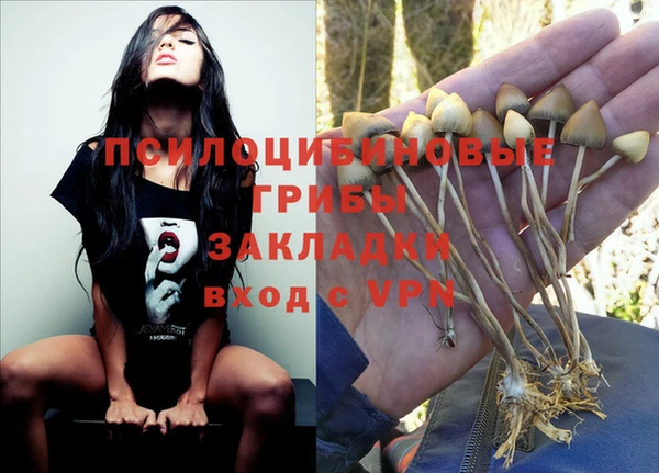 PSILOCYBIN Баксан