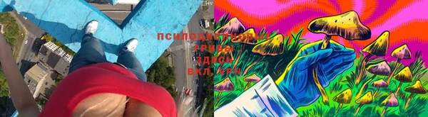 марки lsd Балахна