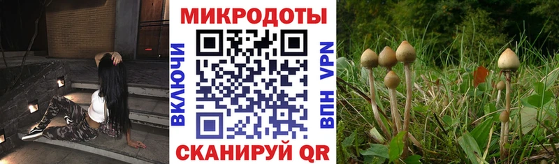 Галлюциногенные грибы ЛСД Магас