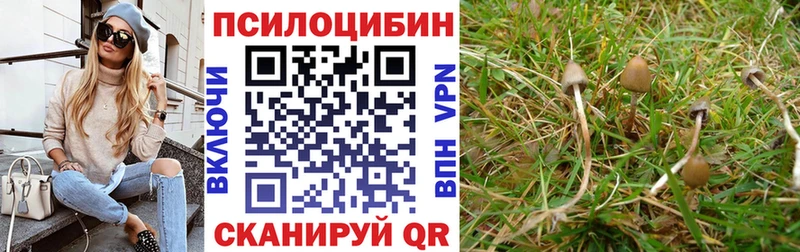 Псилоцибиновые грибы Magic Shrooms  где купить   Магас 